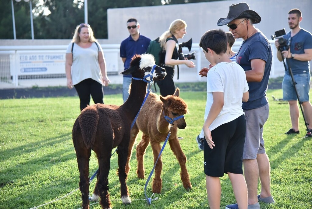 Markopoulo Park: Ξεχωριστή Κυριακή με δυνατές συγκινήσεις και μεγάλα κέρδη