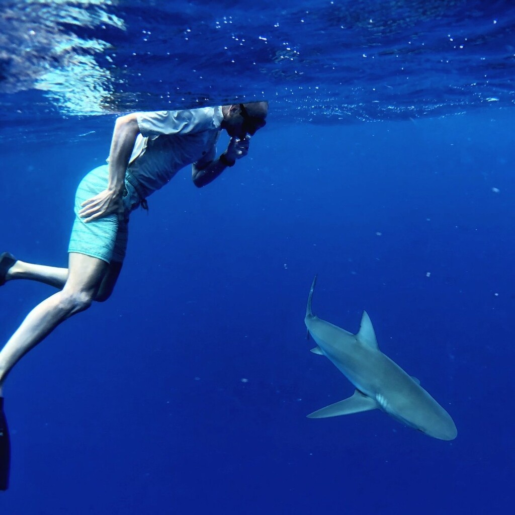 ...παρέα με έναν από τους καρχαρίες που κολυμπούν σε εκείνα τα νερά!