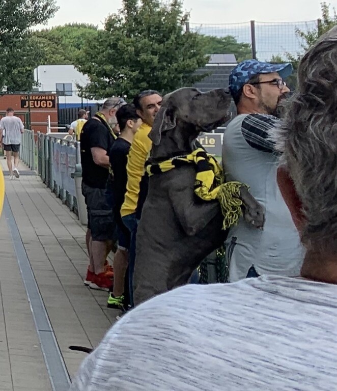 Άρης-Γάνδη: Ο μολοσσός που… τρέλανε τους Βέλγους (photos+video)