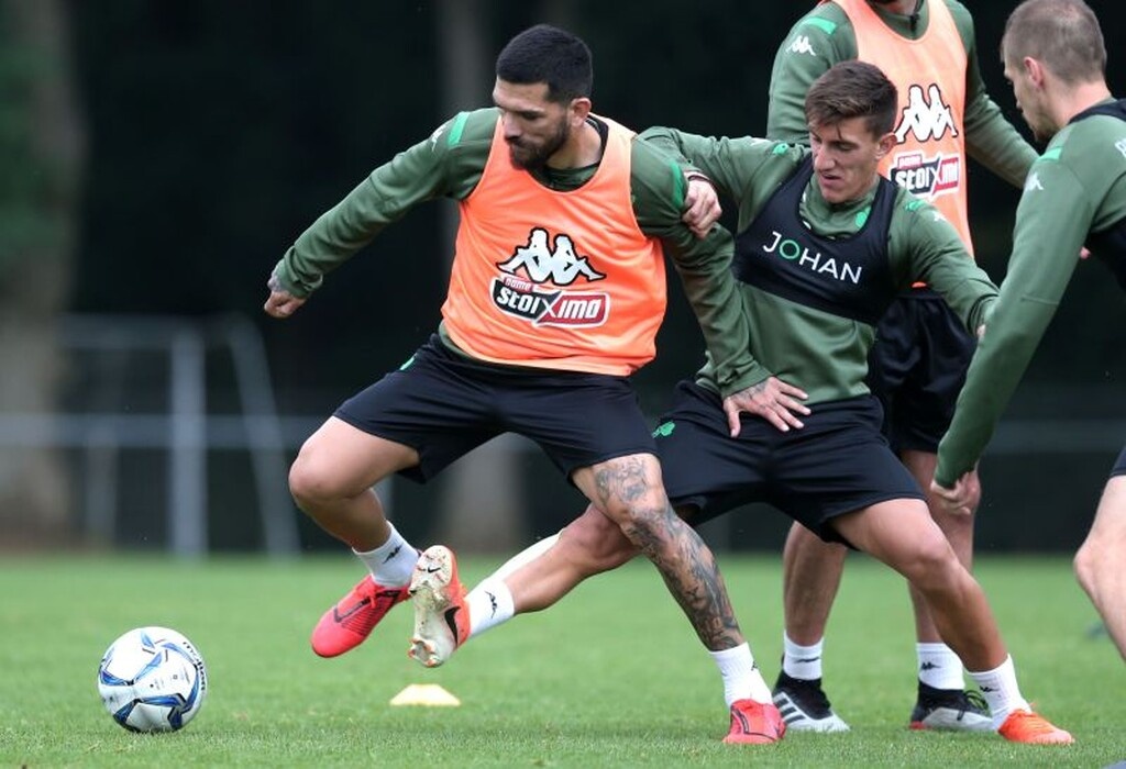 ...που αποκτήθηκε το φετινό καλοκαίρι.