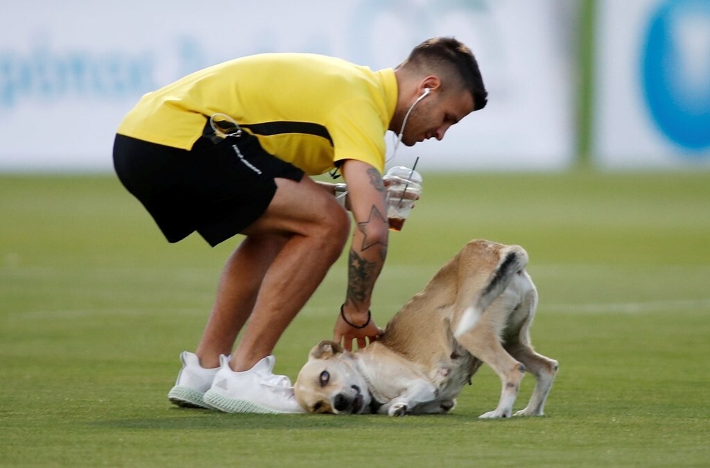 Βόλος-Άρης: Προθέρμανση με… τετράποδη εισβολή (photos)