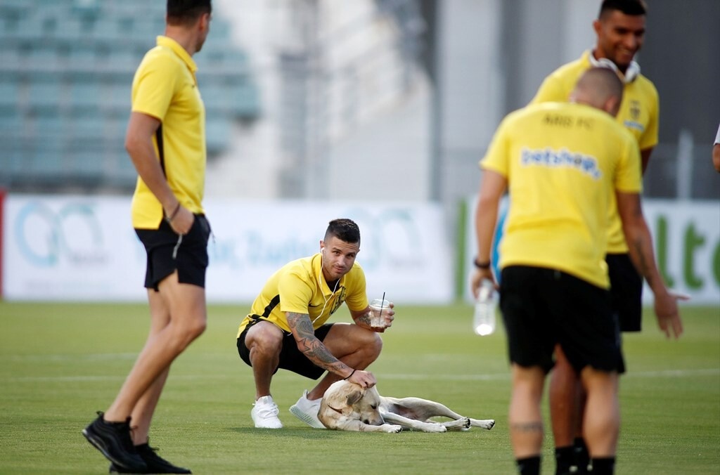 Βόλος-Άρης: Προθέρμανση με… τετράποδη εισβολή (photos)