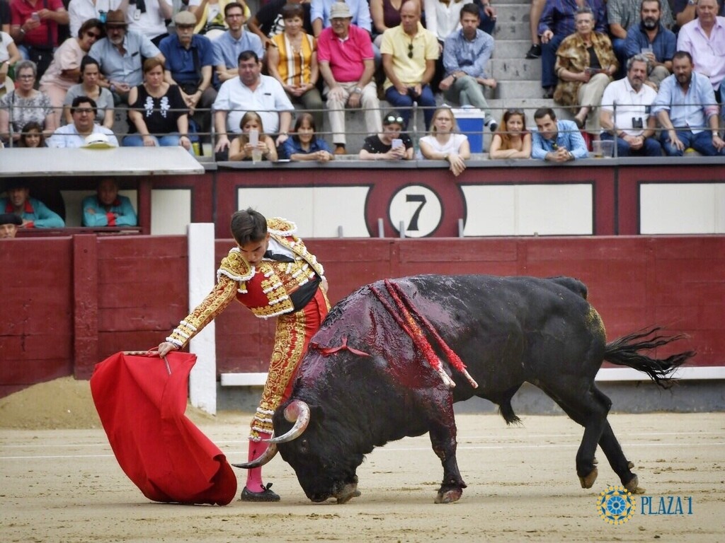 Σοκαριστικό βίντεο: Ταύρος καρφώνει με τα κέρατά του ταυρομάχο! (photos+video)