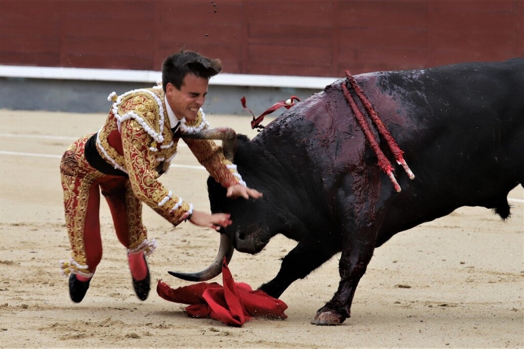 Σοκαριστικό βίντεο: Ταύρος καρφώνει με τα κέρατά του ταυρομάχο! (photos+video)