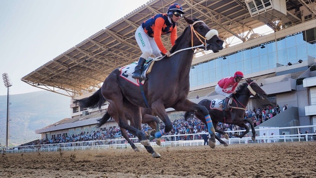 Ιπποδρομίες