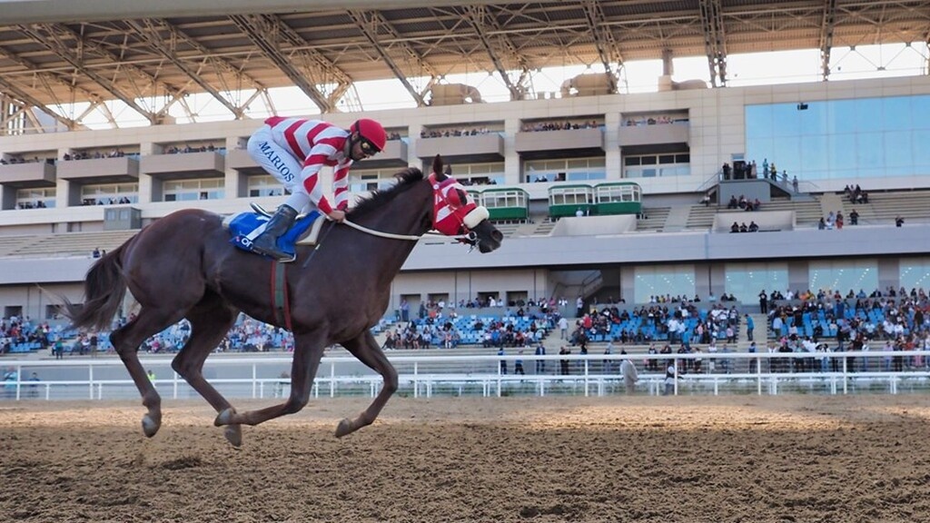 Ιπποδρομίες