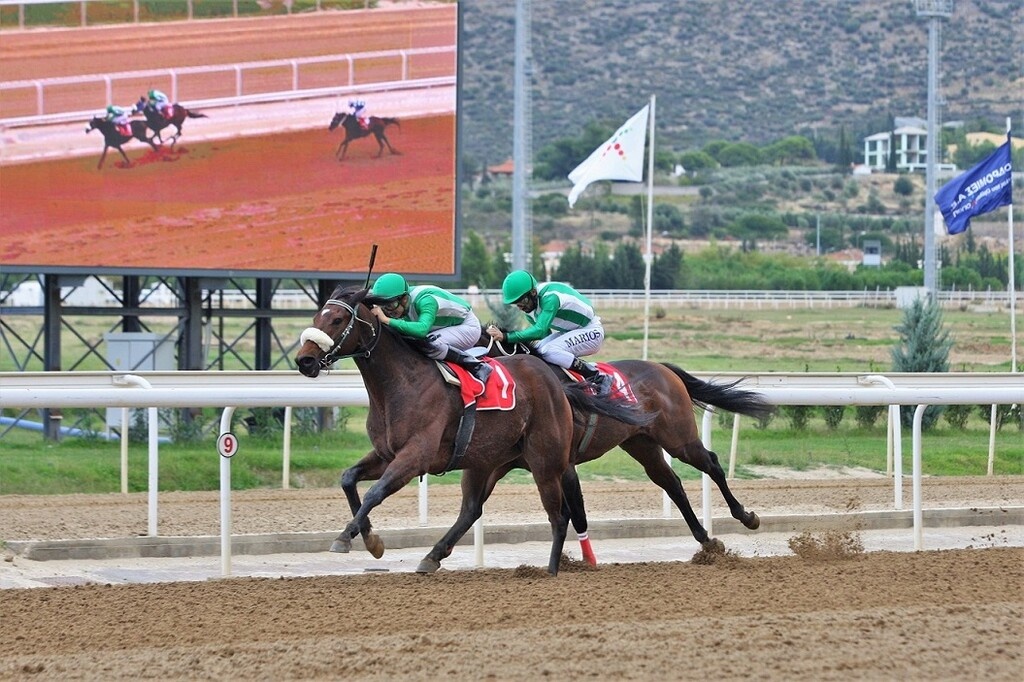 Ο ΠΑΡΤΥ ΤΑΪΓΚΕΡ κατακτά το Έπαθλο Ιφιγένειας