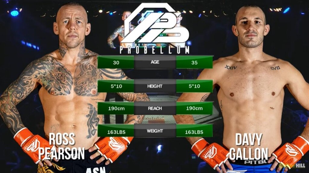 Το νοκ άουτ της χρονιάς στο MMA! (photos+video)