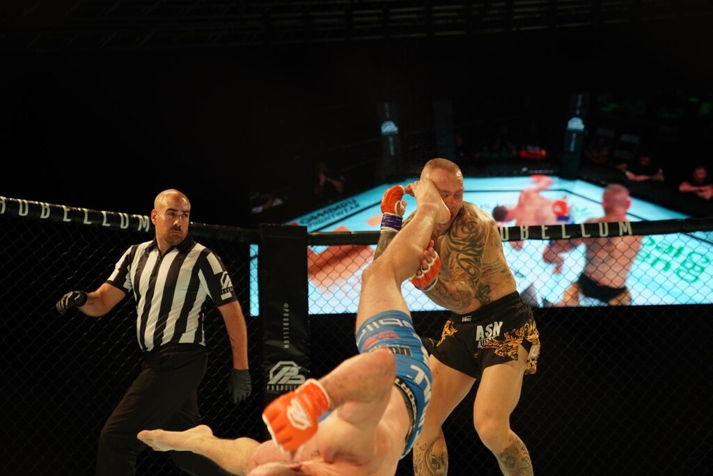 Το νοκ άουτ της χρονιάς στο MMA! (photos+video)