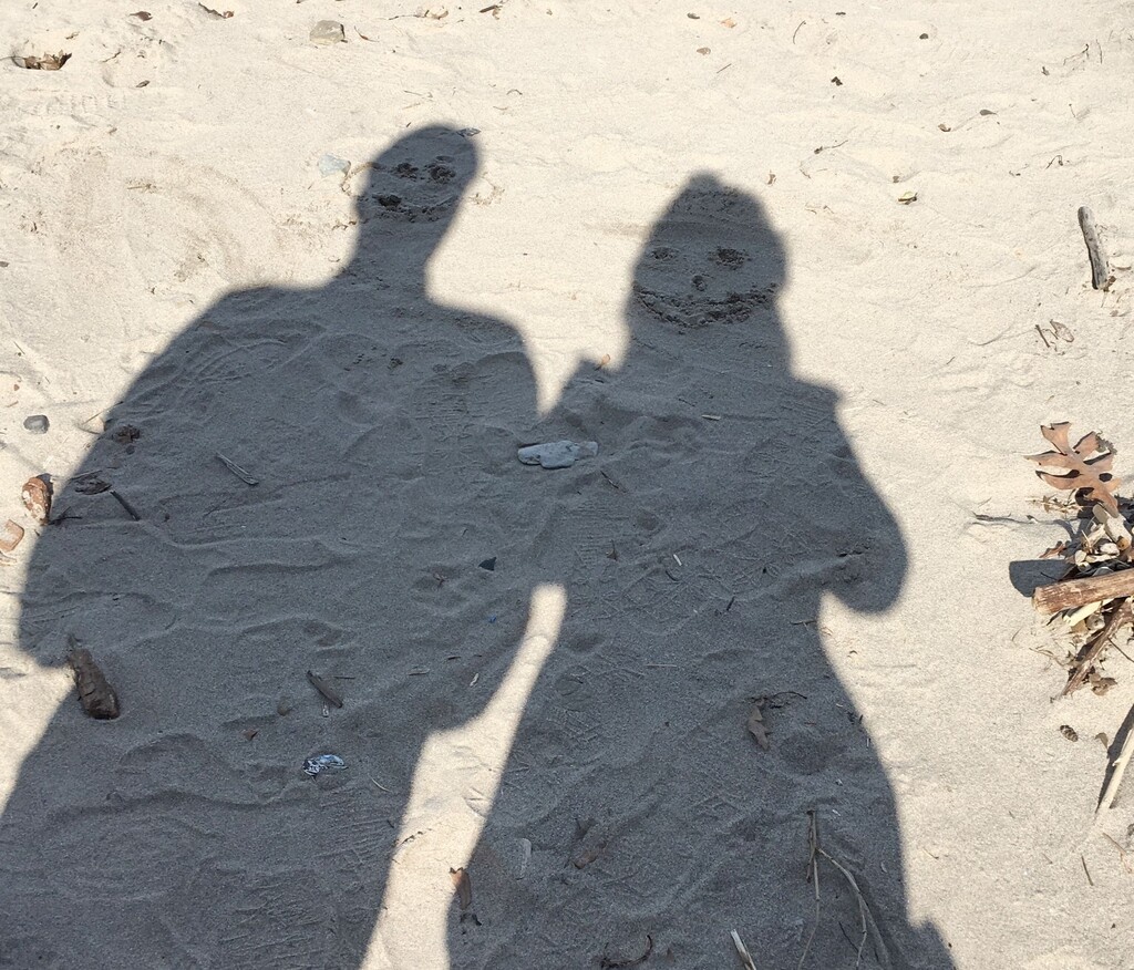 Όλα άρχισαν όταν ένα ζευγάρι από την Ταϊλάνδη αγόρασε  στις 16 Νοεμβρίου ένα δελτίο λόττο, το οποίο κέρδισε. Αρχικά συμφώνησαν να μοιράσουν τα κέρδη, περίπου 180.000 ευρώ, στη μέση αλλά κάπου εκεί η απληστία έκανε την εμφάνισή της.