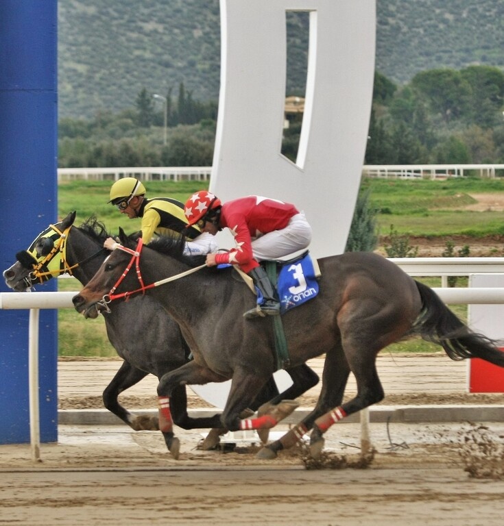 Markopoulo Park: Σημαντικά κέρδη για 15 νικητές του ΣΚΟΡ 6 στην πρώτη ιπποδρομιακή συγκέντρωση