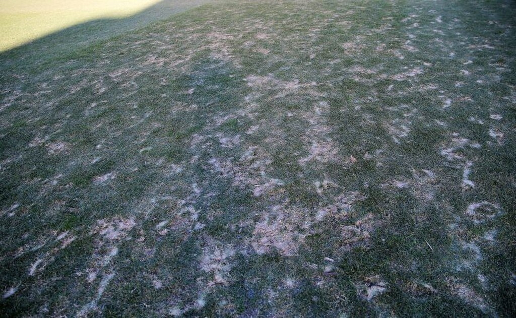 ΠΑΣ Γιάννινα – Παναθηναϊκός: Ξανά… παγοδρόμιο στους «Ζωσιμάδες» (photos)