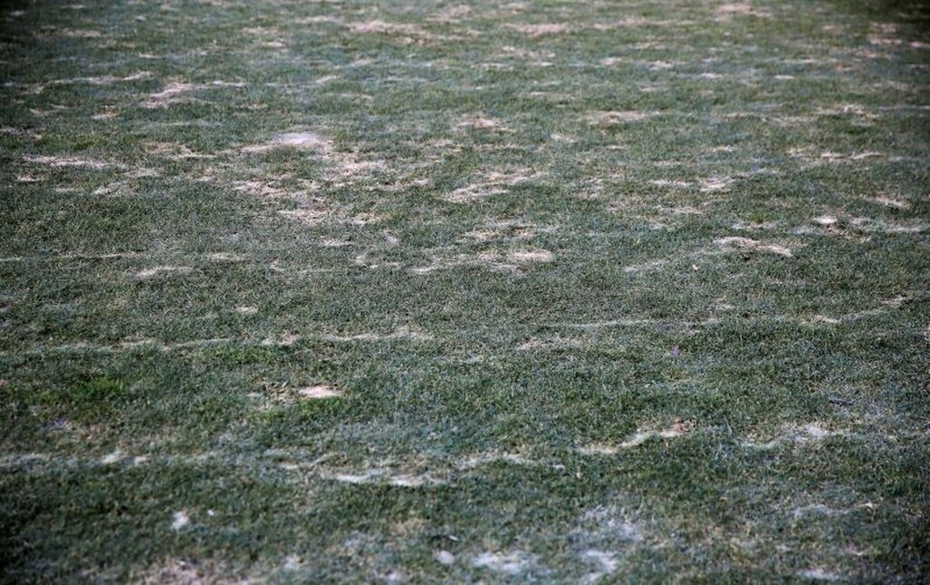 ΠΑΣ Γιάννινα – Παναθηναϊκός: Ξανά… παγοδρόμιο στους «Ζωσιμάδες» (photos)