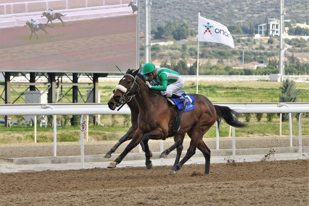 Ο ΠΑΡΤΥ ΤΑΪΓΚΕΡ επικρατεί στο Τρόπαιο Ευβοίας