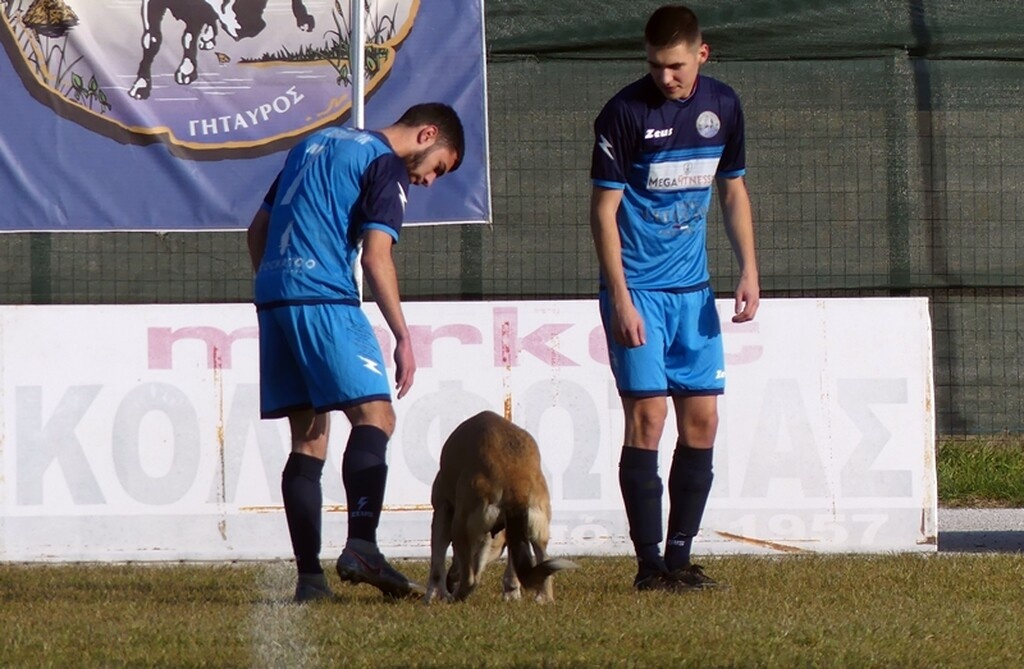 Μια γλυκύτατη σκυλίτσα εισέβαλε στον αγωνιστικό χώρο κατά τη διάρκεια της αναμέτρησης, δείχνοντας μάλιστα να το απολαμβάνει.