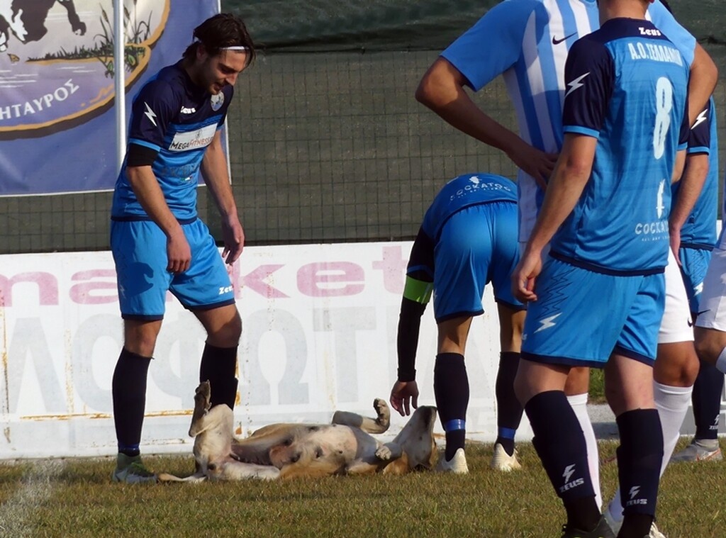 Ακολούθησαν οι Χάδιαρης και Τζάνης αλλά η σκυλίτσα τους συμπάθησε και άρχισε τα… χάδια.