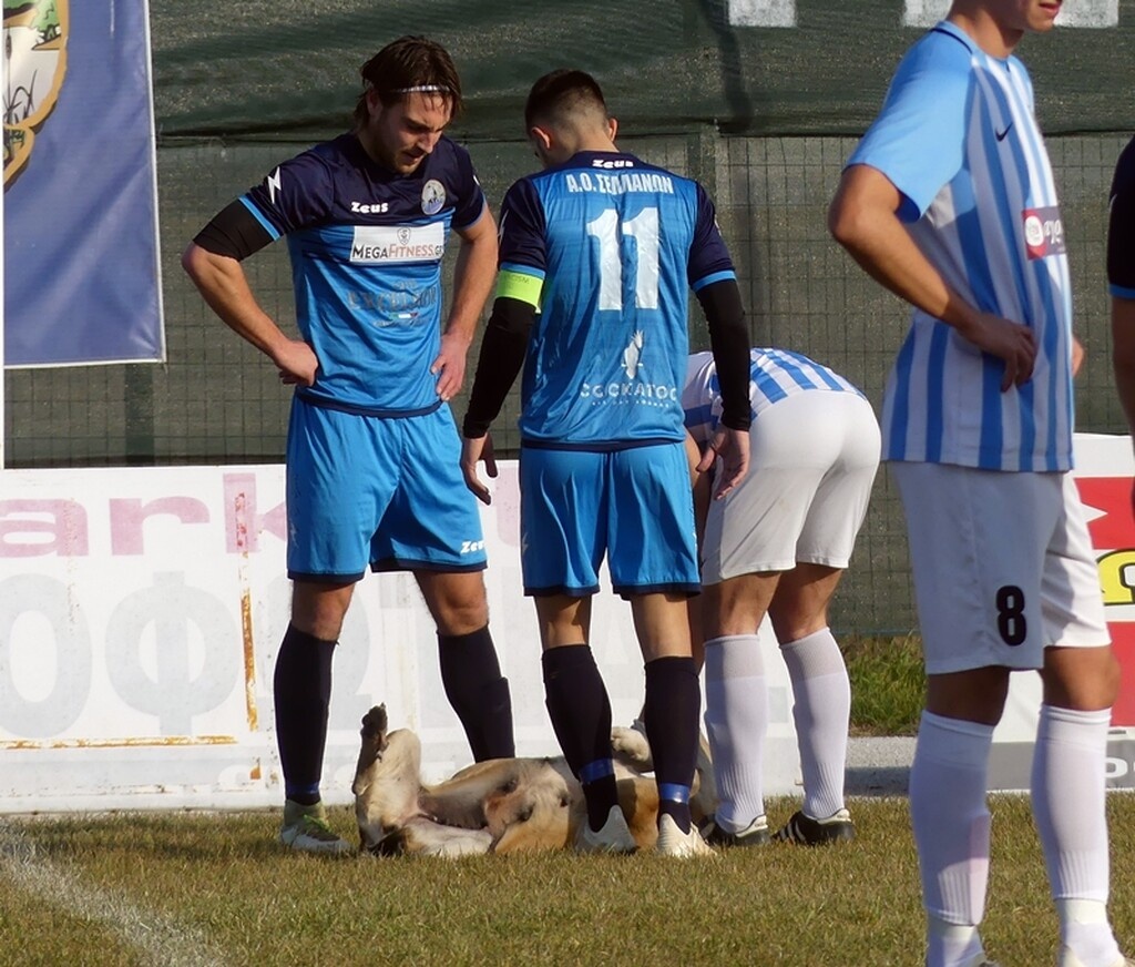 Οι Καστεγιάννος και Χάδιαρης άλλαξαν το… σχέδιο και προσπάθησαν να την απομακρύνουν παίρνοντάς την αγκαλιά, αλλά ούτε αυτό είχε αποτέλεσμα.