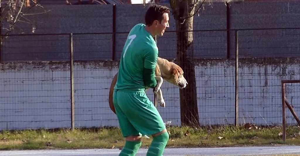 Η σκυλίτσα κινήθηκε προς τον Σταυράκη με σκοπό να του κάνει παιχνίδια. Τελικά ο τερματοφύλακας των Σελλάνων ήταν αυτός που κατάφερε να την απομακρύνει και να συνεχιστεί ο αγώνας.