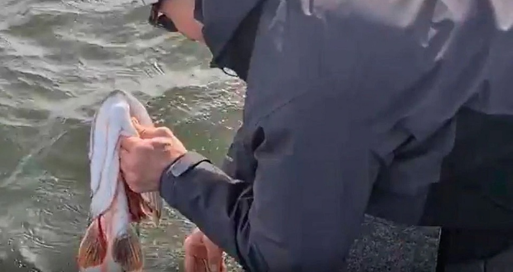 Απίθανος Ζλάταν, πήγε για... ψάρεμα (photos)