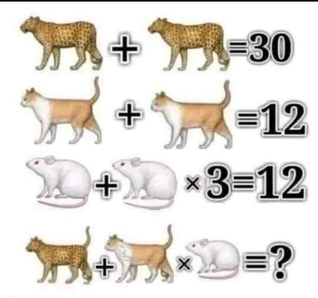 Αυτό είναι το κουίζ που έχει... κάψει τον εγκέφαλο των χρηστών στα social media.