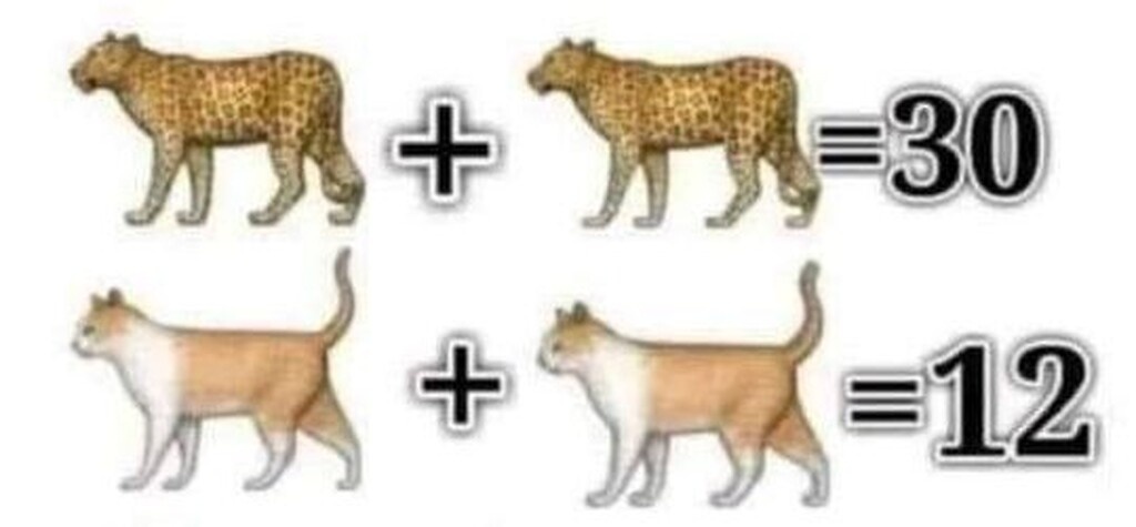 Αρχικά, ο υπολογισμός είναι εύκολος. Η λεοπάρδαλη ισούται με 15 και η γάτα ισούται με 6.