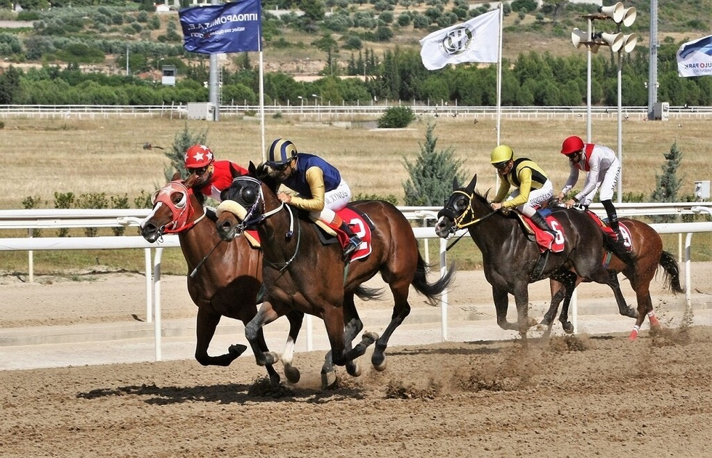Μοναδικό θέαμα προσφέρουν κάθε Δευτέρα οι ιπποδρομίες στο Markopoulo Park