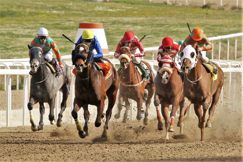 Μοναδικό θέαμα προσφέρουν κάθε Δευτέρα οι ιπποδρομίες στο Markopoulo Park