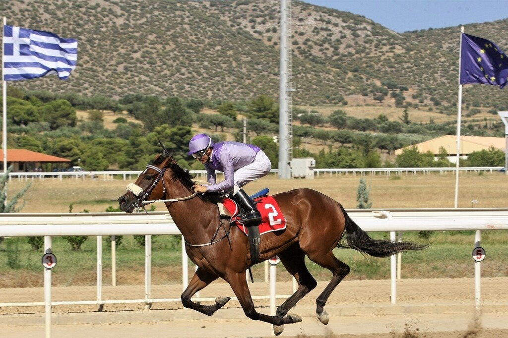 Πρώτη νίκη για την ΑΝΙΛ με αναβάτη τον Παναγιώτη Δημητσάνη