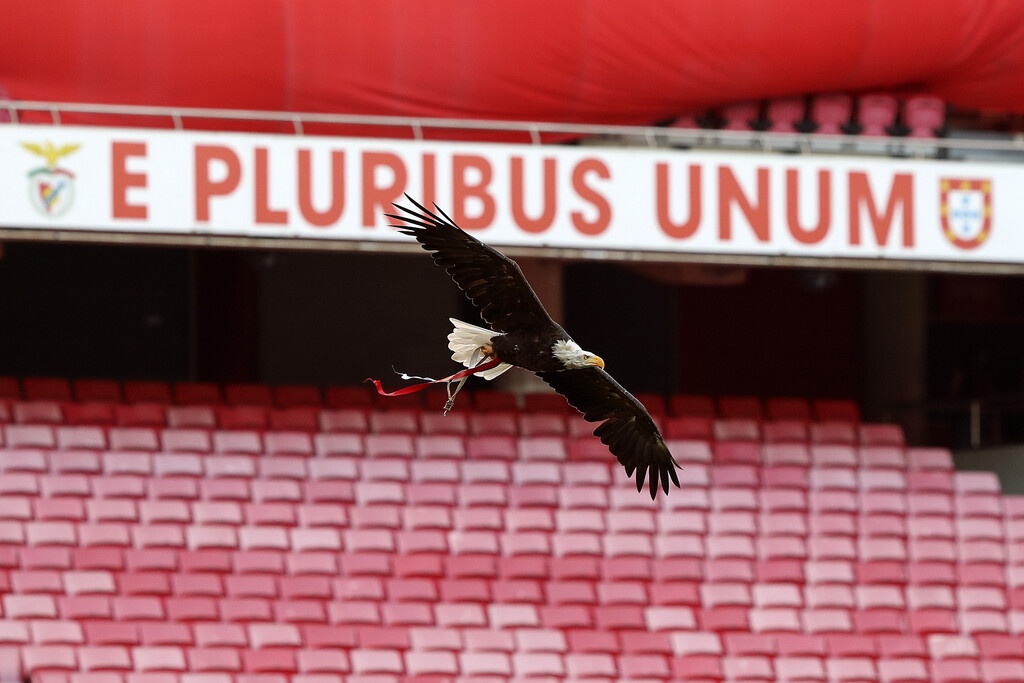 ΠΑΟΚ: Γκολ και φάσεις της Μπενφίκα με τη Μπόρνμουθ (video+photos)