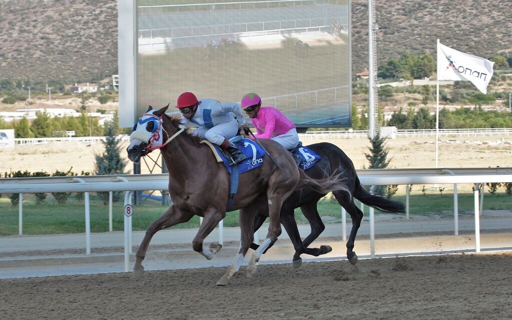 Markopoulo Park: Έντεκα καθαρόαιμοι ίπποι διεκδικούν το Κριτήριο Τριετών