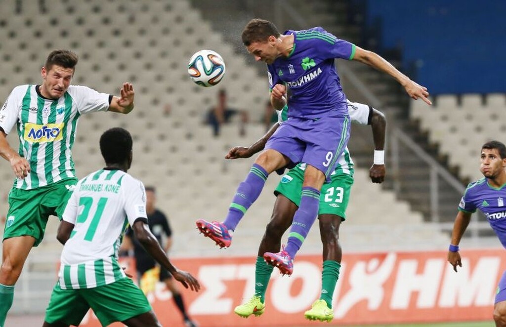 2014	Λεβαδειακός-Παναθηναϊκός	1-1