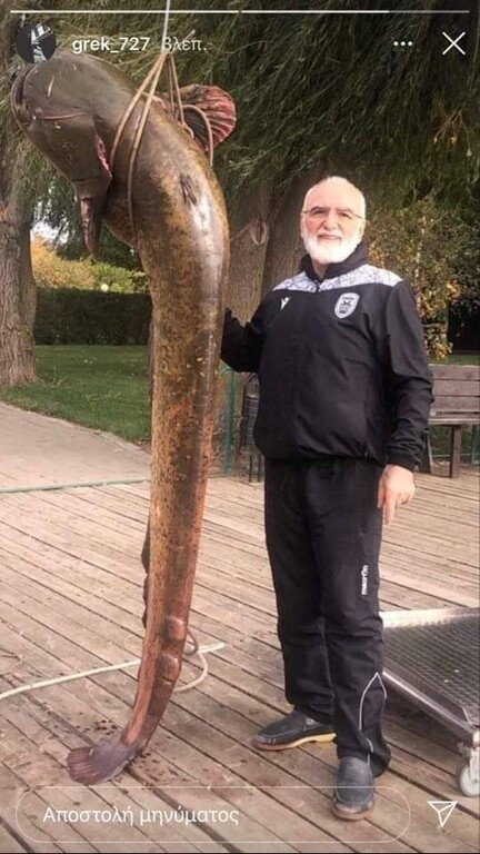 ΠΑΟΚ: Μεγάλη «ψαριά» από τον Ιβάν Σαββίδη (photo)