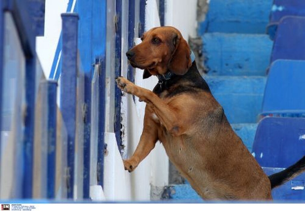 Γ’ Εθνική: Προχωράει ακάθεκτος με… Σταμάτη στο 91’ ο Πανιώνιος! (photos)