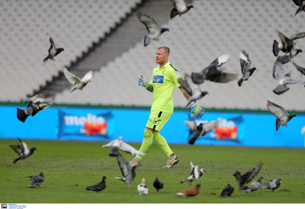 Παναθηναϊκός-Παναιτωλικός: Έστησαν πάρτι στο ΟΑΚΑ τα περιστέρια! (video+photos)