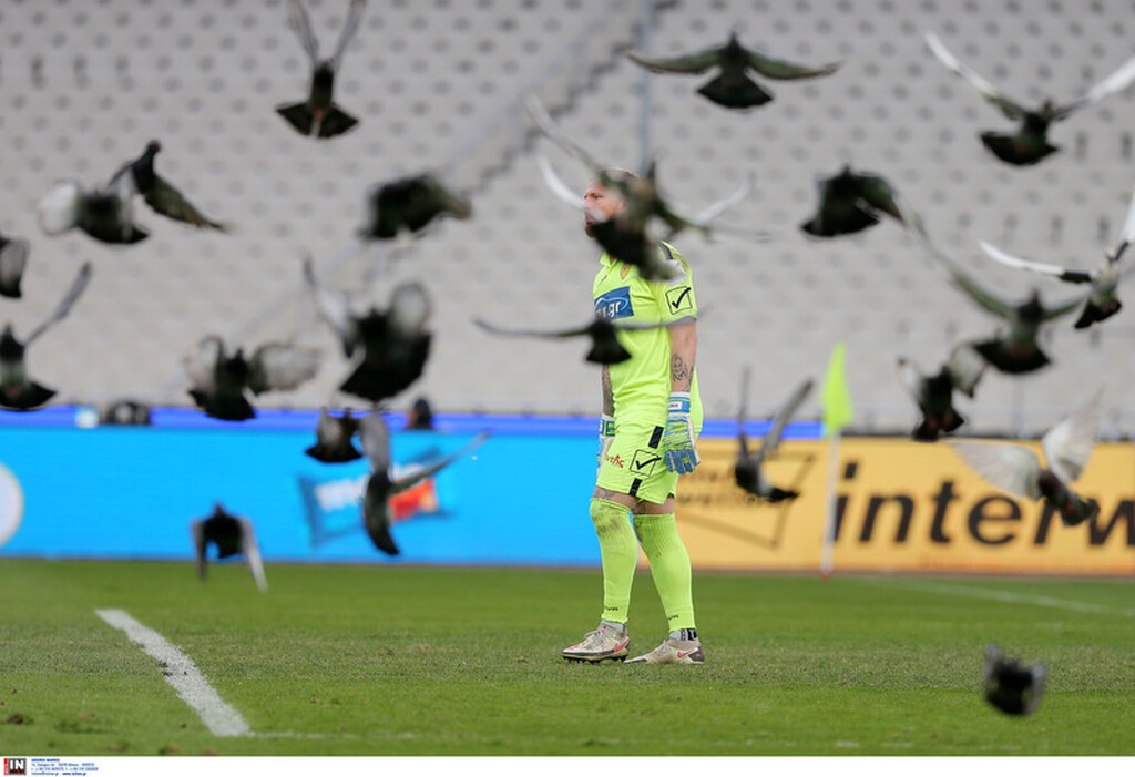 Παναθηναϊκός-Παναιτωλικός: Έστησαν πάρτι στο ΟΑΚΑ τα περιστέρια! (video+photos)