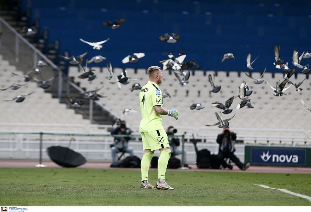 Παναθηναϊκός-Παναιτωλικός: Έστησαν πάρτι στο ΟΑΚΑ τα περιστέρια! (video+photos)