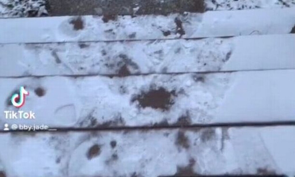 Ανατριχιαστικό: Προσοχή! Αν δείτε αυτό το μήνυμα έξω από το σπίτι σας, κινδυνεύετε