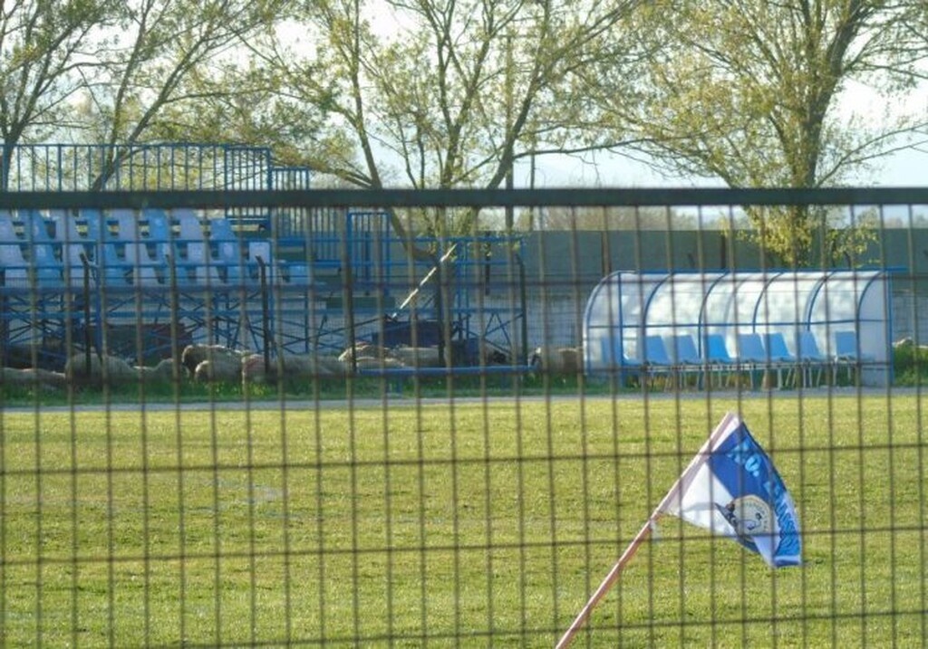 Γ’ Εθνική: Απίθανα σκηνικά με ξύλο και «ντου» από πρόβατα στο γήπεδο (photos)