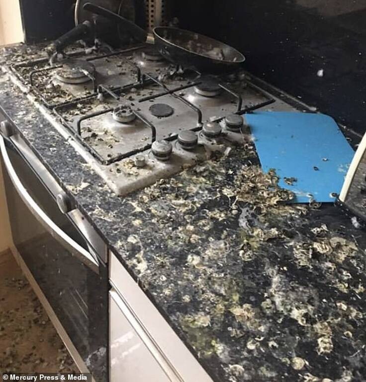 Επέστρεψε σπίτι μετά από 6 μήνες και το είδε άνω κάτω για απίθανο λόγο (photos)