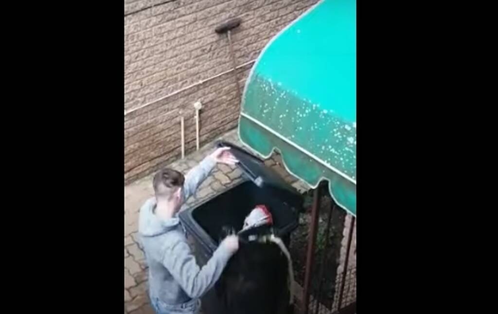 Η φάρσα που έγινε Viral - «Πάγωσε» με αυτό που είδε