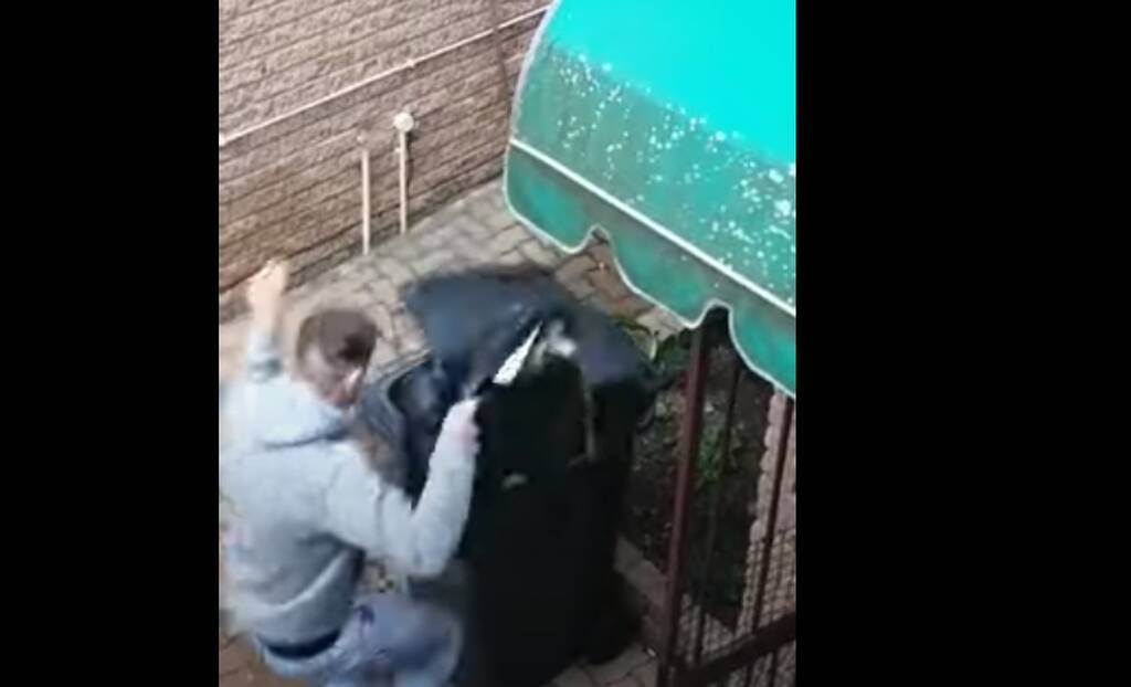 Η φάρσα που έγινε Viral - «Πάγωσε» με αυτό που είδε