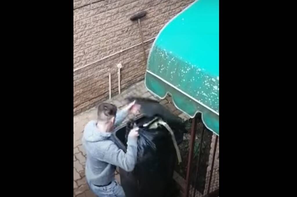 Η φάρσα που έγινε Viral - «Πάγωσε» με αυτό που είδε