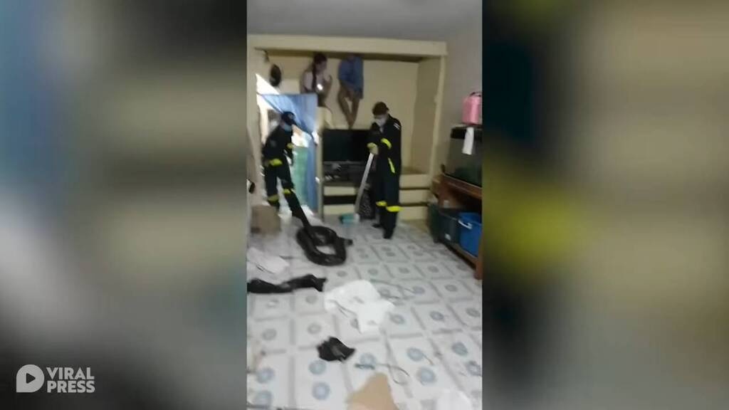Τρόμος στο σαλόνι για οικογένεια - Δεν πίστευαν αυτό που είδαν κάτω από την ντουλάπα