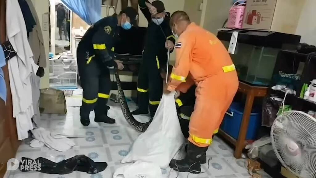Τρόμος στο σαλόνι για οικογένεια - Δεν πίστευαν αυτό που είδαν κάτω από την ντουλάπα