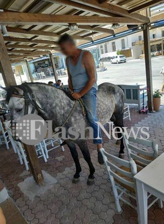 Τα... διέλυσε όλα - Δείτε πως πήγε να πάρει... έναν καφέ (photos)