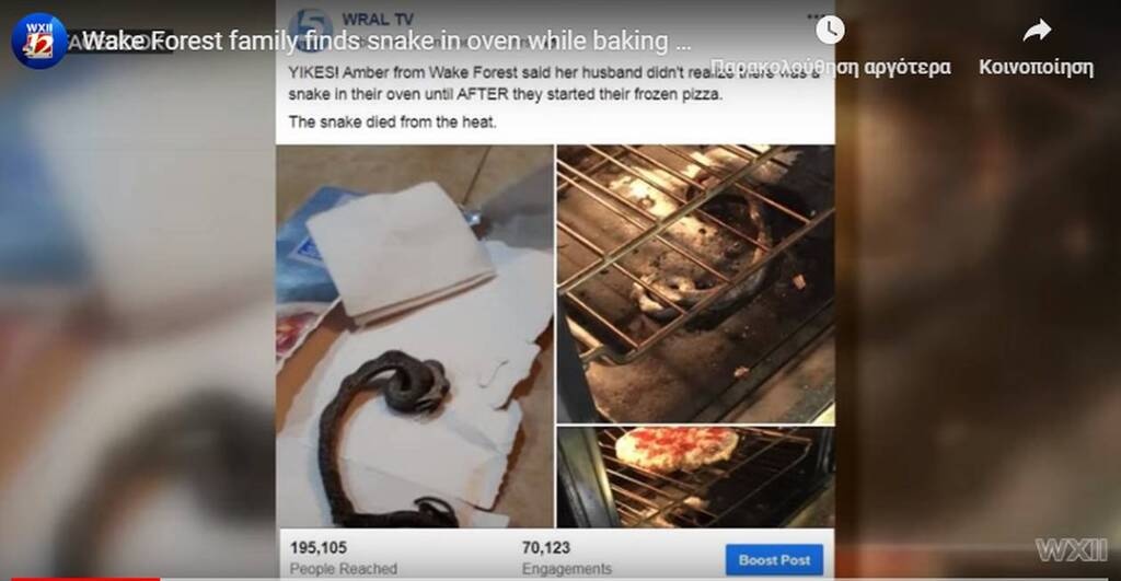 Έψησαν την πίτσα, αλλά έμειναν νηστικοί - «Τρόμαξαν» με αυτό που βρήκαν