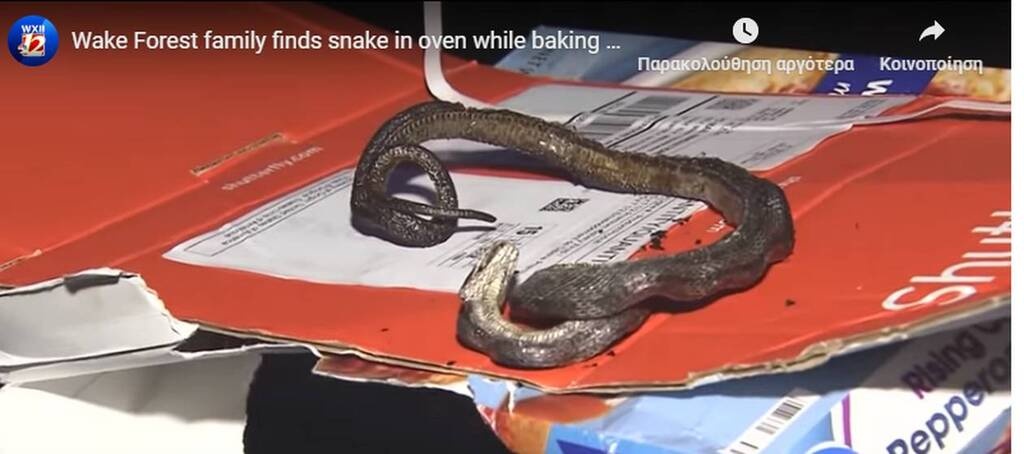 Έψησαν την πίτσα, αλλά έμειναν νηστικοί - «Τρόμαξαν» με αυτό που βρήκαν