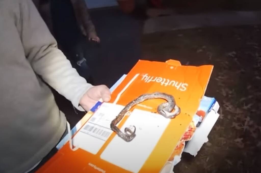 Έψησαν την πίτσα, αλλά έμειναν νηστικοί - «Τρόμαξαν» με αυτό που βρήκαν