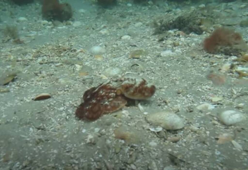 Βρήκε γυάλινο μπουκάλι στη θάλασσα - «Πάγωσε» με αυτό που ήταν μέσα (photos)