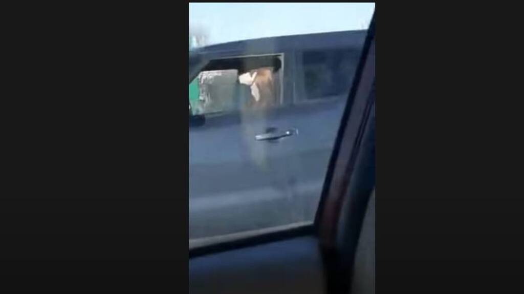 Πήγε να κάνει προσπέρασει - Αυτό που είδε στο διπλανό αμάξι απλά δεν υπάρχει (photos)